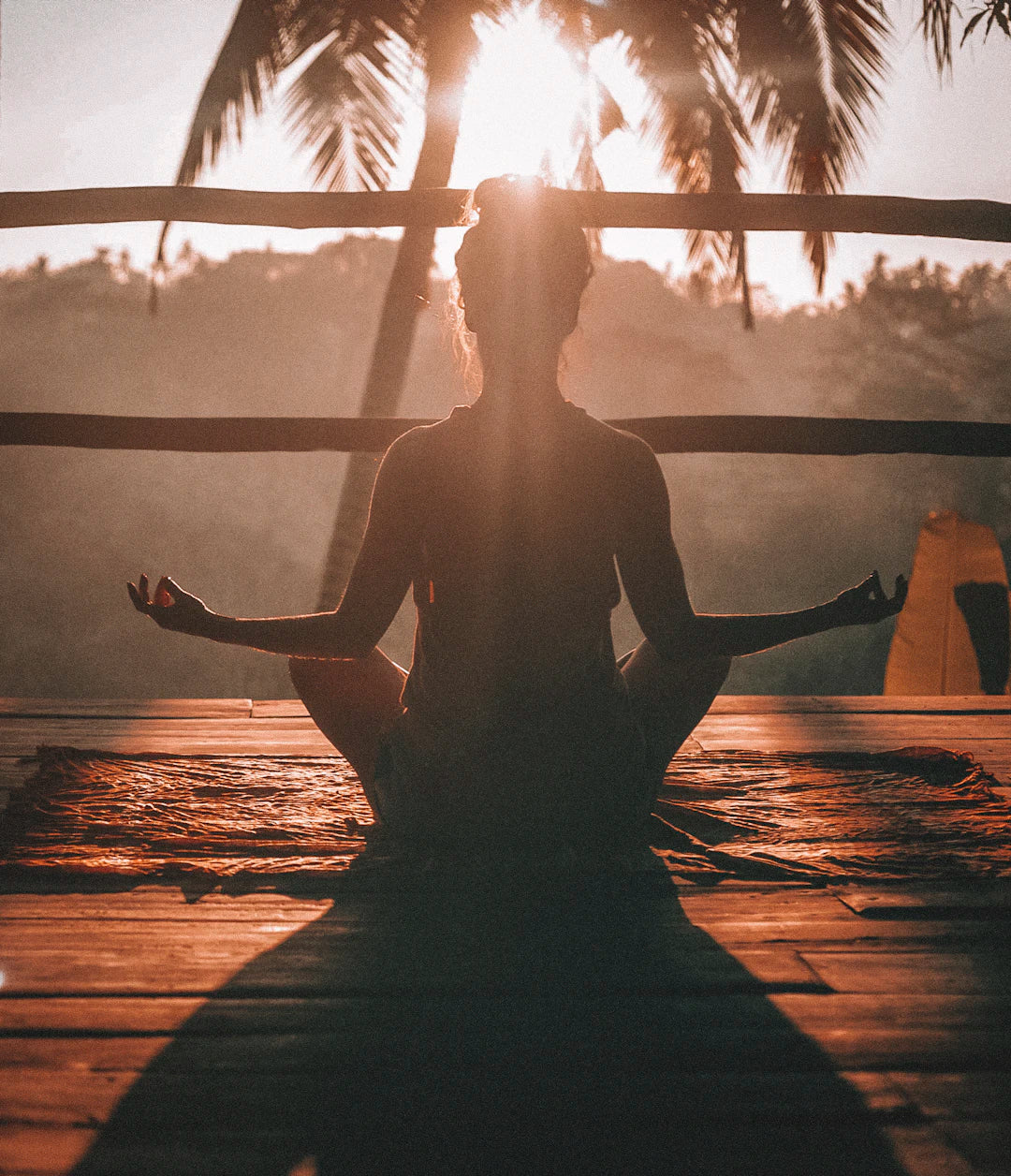 Embrace Ayurveda Modern Insights for a Balanced Life
