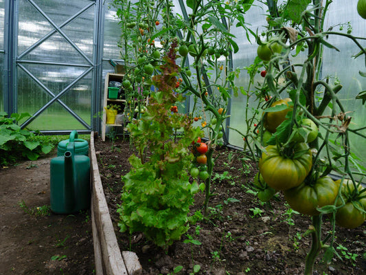 Explore Sustainable Living for a Greener Planet Today