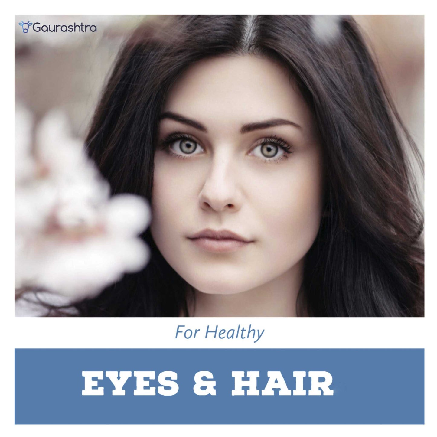 गौराराष्ट्र त्रिफला पाउडर 123 अनुपात 200 जीएम