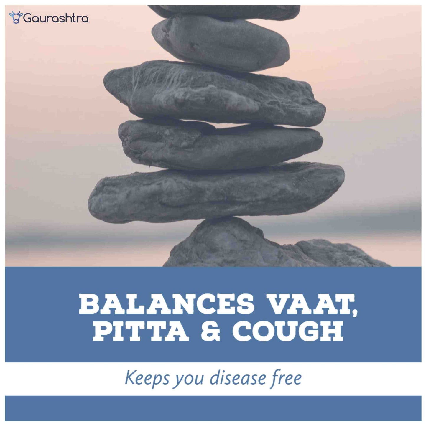 गौराराष्ट्र त्रिफला पाउडर 123 अनुपात 200 जीएम