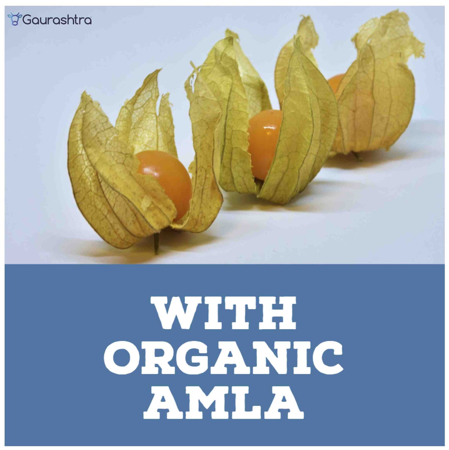 गौराराष्ट्र त्रिफला पाउडर 123 अनुपात 200 जीएम