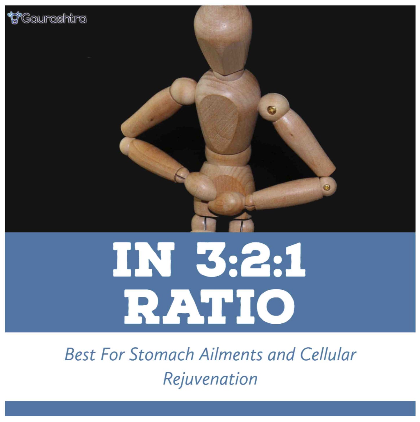 गौराराष्ट्र त्रिफला पाउडर 123 अनुपात 200 जीएम