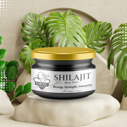 Black and gold container of Gavya Dhara Shilajit Resin Form featuring a golden screw-top lid. The label displays “SHILAJIT Resin Form” with highlighted benefits: energy, strength, and immunity. Net weight is 20 grams. Designed as a natural Ayurvedic supplement for vitality and wellness.