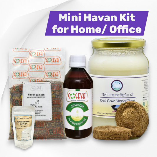 Daily Mini Havan & Space Purification Kit