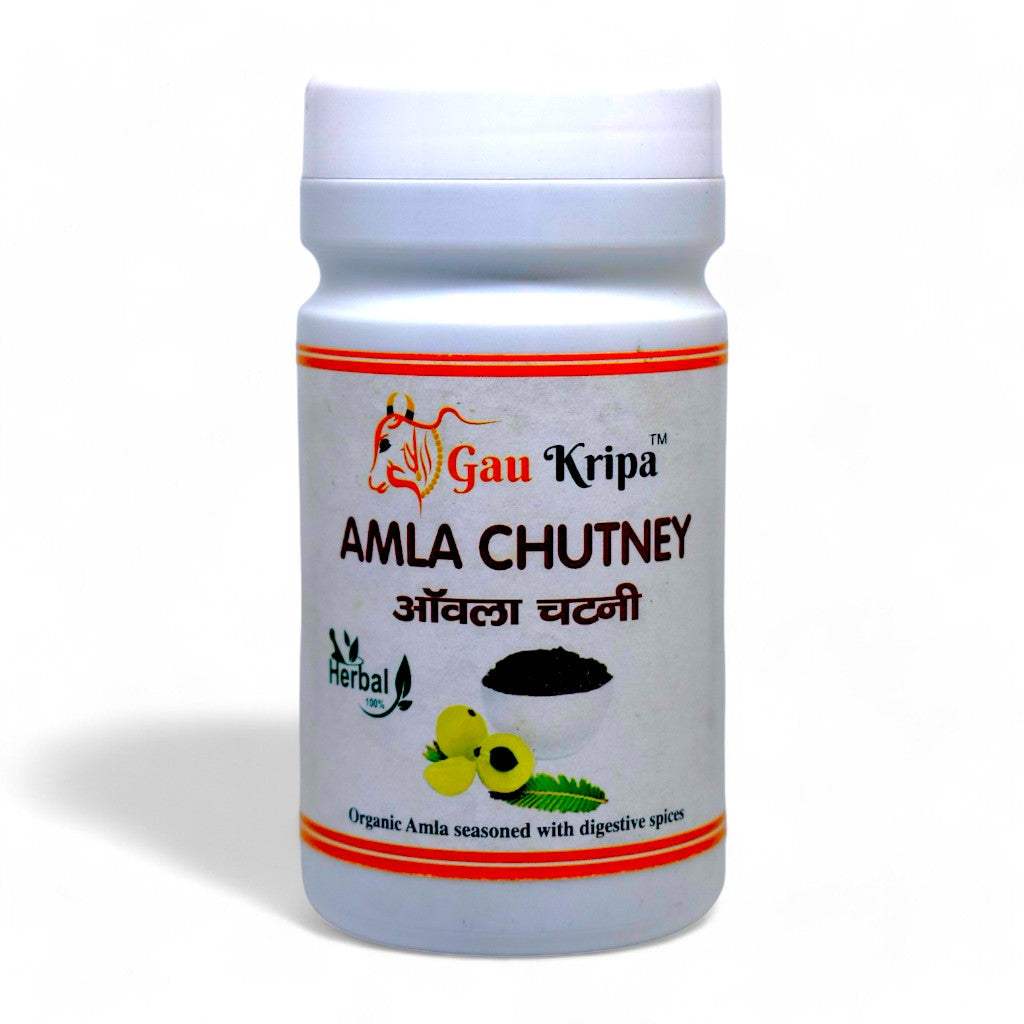 Aansh Herbals Amla Chutney hecho a mano 250 GM