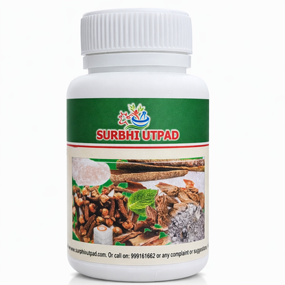 Surbhi Herbal Dant Manjan (70 GM)