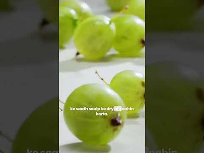 बालों के झड़ने और रूसी के लिए गौराराष्ट्र रीठा शैम्पू आंवला और शिकाकाई के साथ (500 मिली)